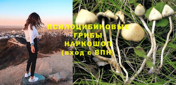 ГАЛЛЮЦИНОГЕННЫЕ ГРИБЫ Абинск