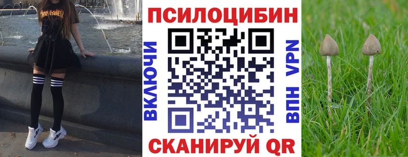 продажа наркотиков  Барнаул  сайты даркнета официальный сайт  Галлюциногенные грибы мухоморы 