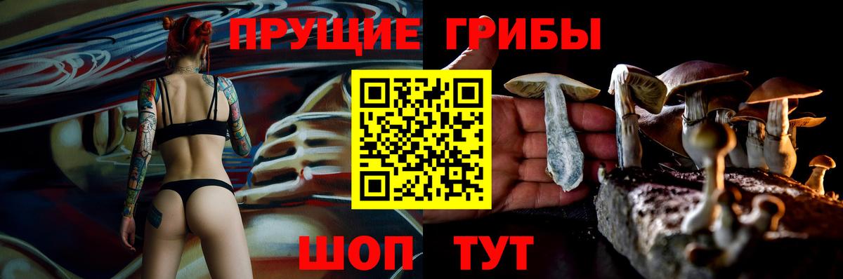 Галлюциногенные грибы Magic Shrooms Барнаул